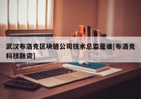 武汉布洛克区块链公司技术总监是谁[布洛克科技融资]